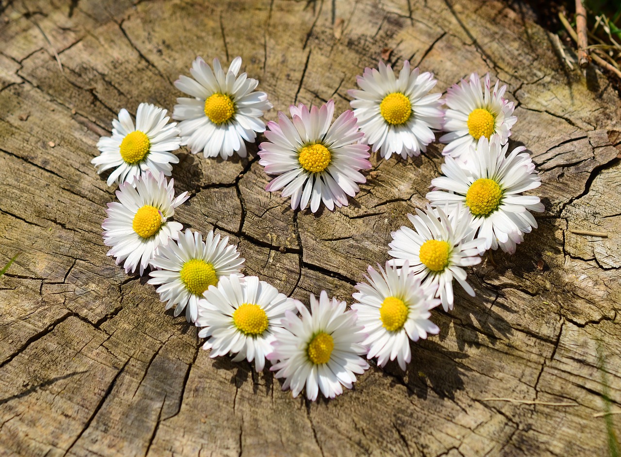 Heart