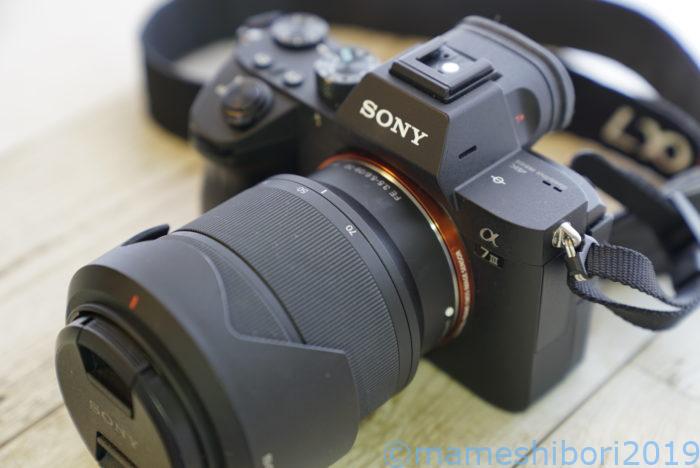 今回SONYα7Ⅲを買った理由は？なんでα7SⅢやα7Cじゃないの？？