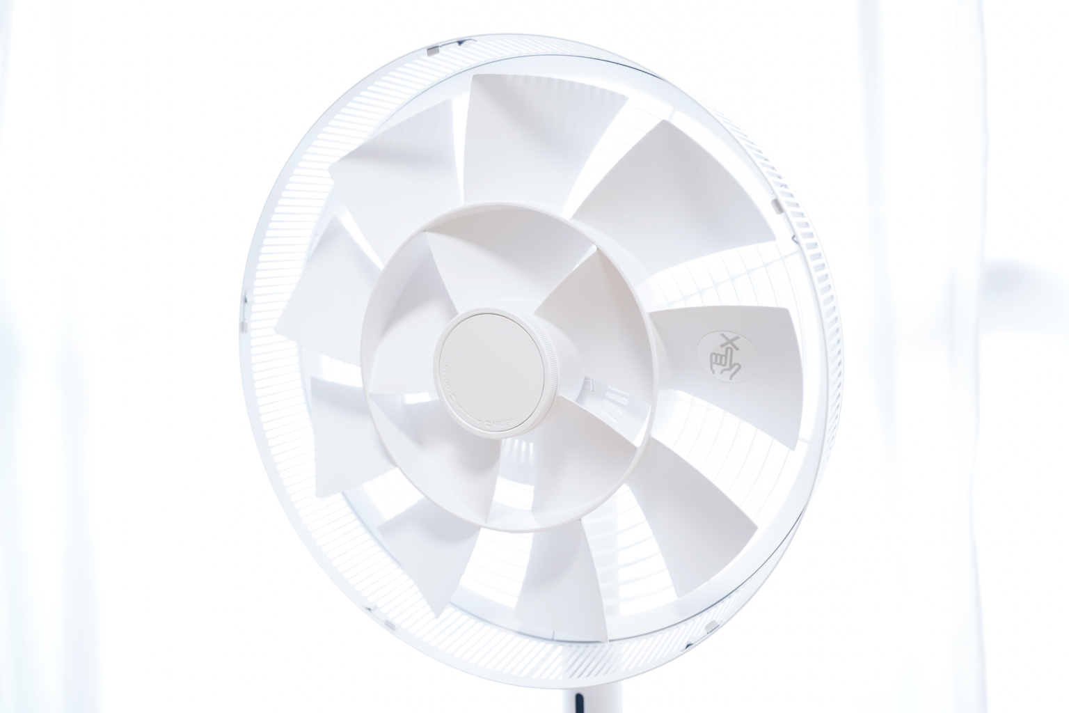 静かで風質が最高！バルミューダの扇風機 The Green Fan【EGF-1700】口コミレビュー | マメラボのブログ